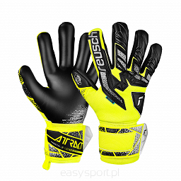 Rękawice Reusch Attrakt Freegel Silver '25