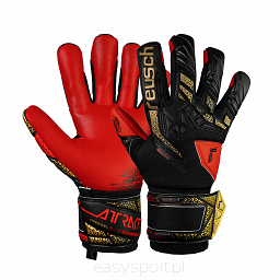 Rękawice Reusch Attrakt Freegel Silver '25